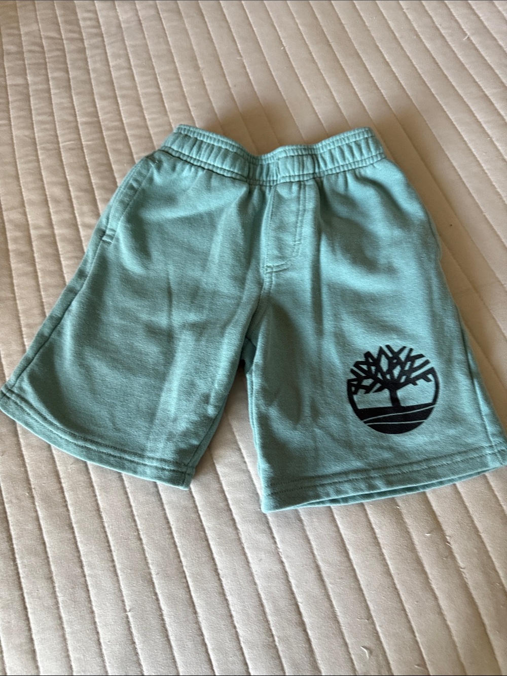 Timberland Kids Mint Sweat Shorts with Black Logo, with side and back pockets
